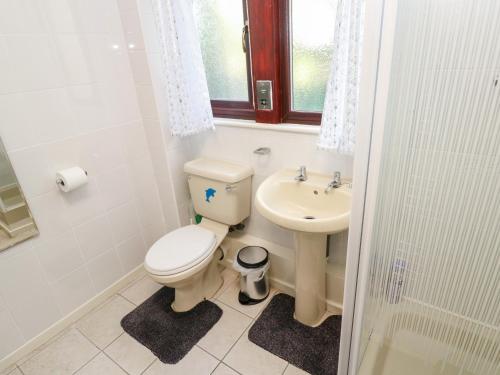 a bathroom with a toilet and a sink at Merlins Flight in Hayle