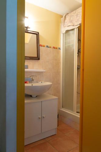 ein Badezimmer mit einem weißen Waschbecken und einer Dusche in der Unterkunft Studio calme et chaleureux in Brive-la-Gaillarde