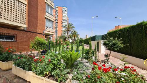 Apartamento San Sebastian IF Benidorm