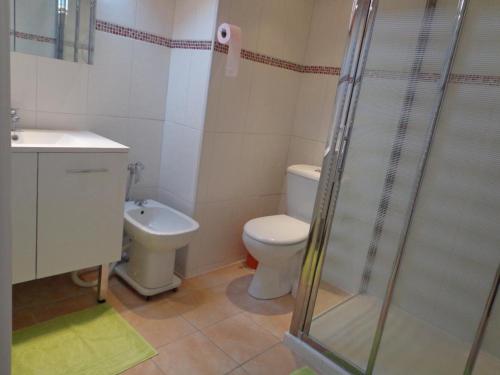 ein Bad mit einem WC, einem Waschbecken und einer Dusche in der Unterkunft Le zihans in Port-de-Lanne
