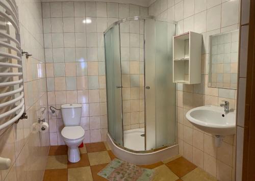 a bathroom with a shower and a toilet and a sink at Apartamenty Jakob in Rewal