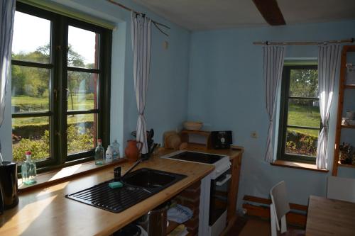 a kitchen with two windows and a sink and a counter at Alte Ausspanne FEWO in Walkendorf