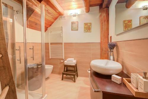 uma casa de banho com um lavatório e um chuveiro em Romito Lodge Apartment Mountain Retreat - Happy Rentals em Cesana Torinese
