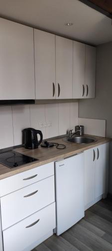 - une cuisine avec des placards blancs et un évier dans l'établissement Radioloft-430, à Vilnius