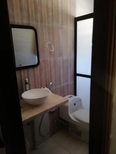 ein Bad mit einem Waschbecken und einem WC in der Unterkunft Hermosa Casa de Campo en Santiago de Chiquitos in Santiago de Chiquitos