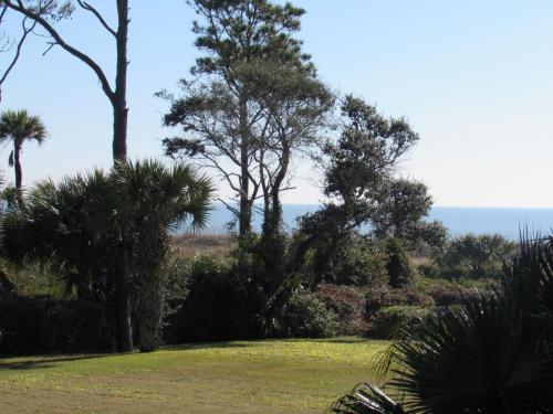 a garden with trees and the ocean in the background at Beachfront Condo with Ocean View in Hilton Head Island
