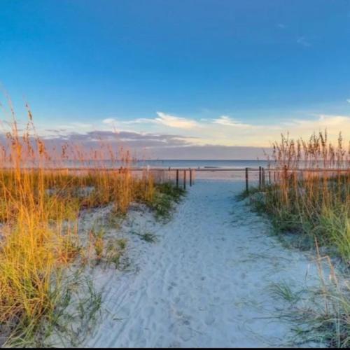 a path through the sand at the beach at Beachfront Condo with Ocean View in Hilton Head Island