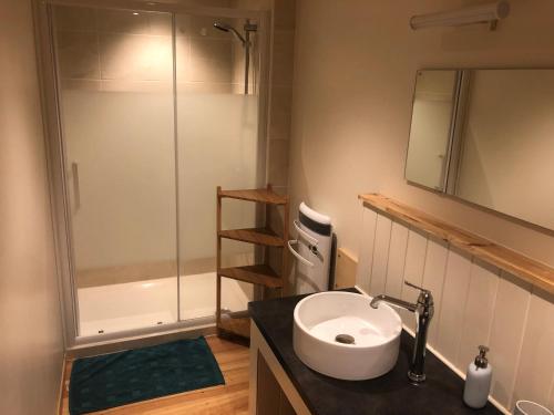 La salle de bains est pourvue d'un lavabo et d'une douche. dans l'établissement Gites La Chabanaise, à Beaulieu-sur-Dordogne