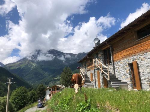 a horse standing in front of a building with a mountain at Baita Chalet La Masun in Chiesa in Valmalenco