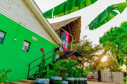 Bonita Lodge – Photos 3