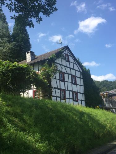a white and black house on a grassy hill at Noah - Seeleben auf Zeit am Rursee in Rurberg