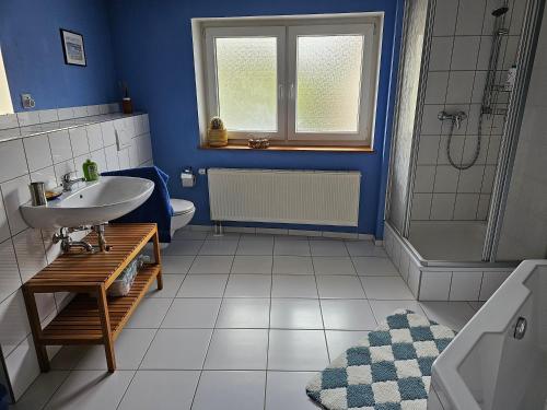 La salle de bains bleue est pourvue d'un lavabo et d'une douche. dans l'établissement Wutachschlucht - spacious apartment in renovated farmhouse, à Bonndorf im Schwarzwald