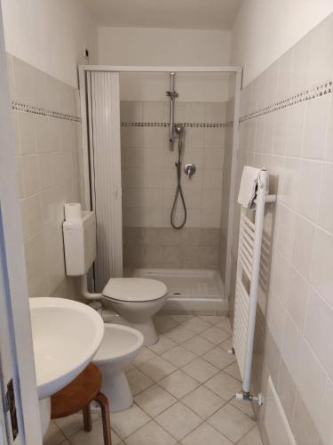 a bathroom with a toilet and a sink and a shower at Agriturismo Munarin Caterina in Mioglia
