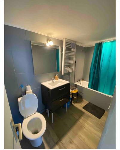 une salle de bain avec toilettes et lavabo dans l'établissement Maison de ville, à La Cressonnière