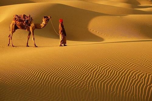 a man walking a camel in the desert at Temukistan in Temuco