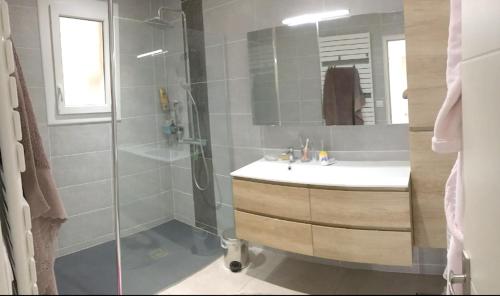 La salle de bains est pourvue d'une douche et d'un lavabo. dans l'établissement Maison de 3 chambres a Valras Plage a 600 m de la plage avec spa jardin clos et wifi, à Valras-Plage