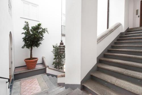 Foto dalla galleria di AMORE RENTALS - Appartamento Terrazza Tasso a Sorrento