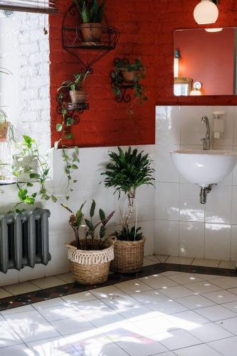 een badkamer met potplanten en een wastafel bij Tía Juanita in Temuco