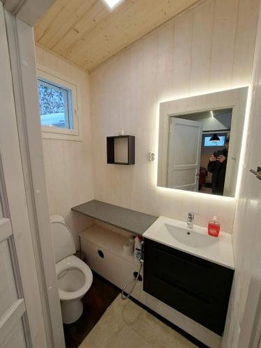 a bathroom with a toilet and a sink and a mirror at Tapio in Syöte