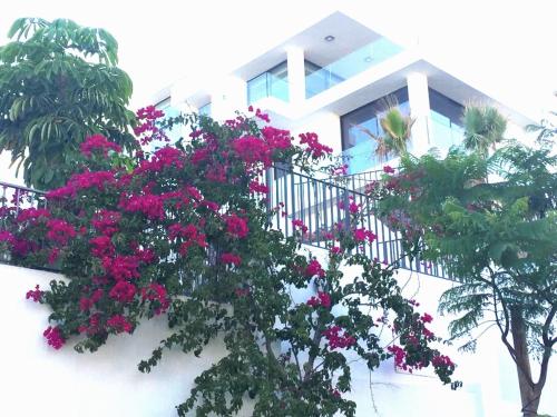 Stunning villa in Benalmádena with amazing views, pool and large gym