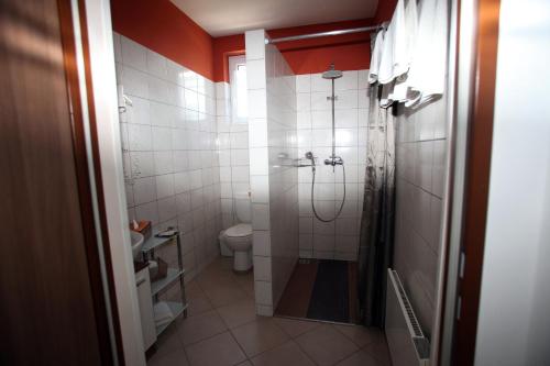 ein Bad mit einer Dusche und einem WC in der Unterkunft LANDHAUS KLAMBAUER Ferienapartments Thermennähe St Martins Therme in Frauenkirchen