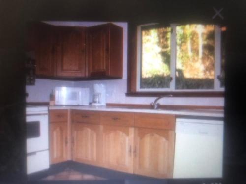 a kitchen with wooden cabinets and a sink and two windows at Zion in Largs