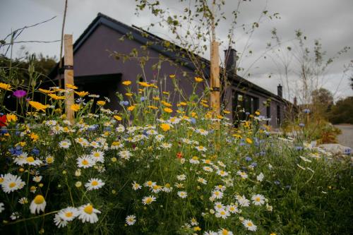 a field of flowers in front of a building at The Deerstone Luxury Eco Hideaway in Laragh