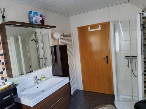 a bathroom with a sink and a shower at Ferienwohnung Anna in Wernigerode