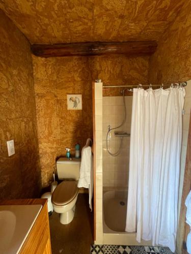 La salle de bains est pourvue de toilettes et d'une douche avec rideau de douche. dans l'établissement Le Brocco, à Le Broc
