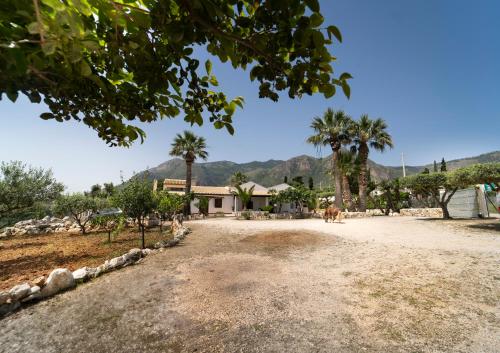 an empty road in front of a house with palm trees at Kòre rooms in Castellammare del Golfo
