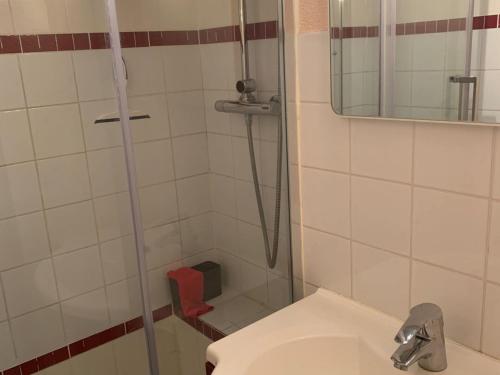 une salle de bain avec une douche avec un lavabo et un miroir dans l'établissement Charmant T2 pour 5 pers. avec terrasse, parking privé et proximité centre-village et navettes. - FR-1-676-120, à Châtel