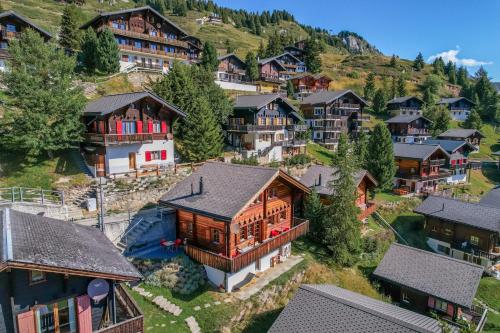 an aerial view of a house in a village at Chalet Collini in Riederalp