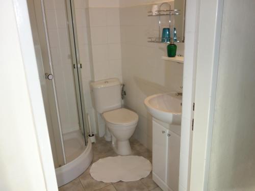 a white bathroom with a toilet and a sink at MINERVA in Špindlerův Mlýn