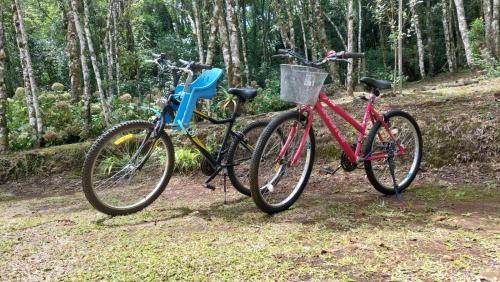 two bikes parked next to each other in the woods at Morada da Serra Alta in São Francisco de Paula