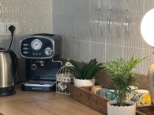 einem Toaster auf einer Küchentheke mit Pflanzen in der Unterkunft SopraBosco Calcata Art & Design Apartment in Calcata