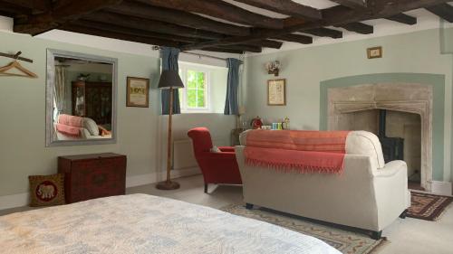 a living room with a bed and a fireplace at The Totnes Guest House. Upstairs at Zappa's in Totnes