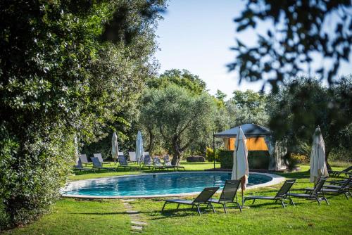 a swimming pool with chairs and umbrellas in a park at Fattoria Pianetti in Manciano