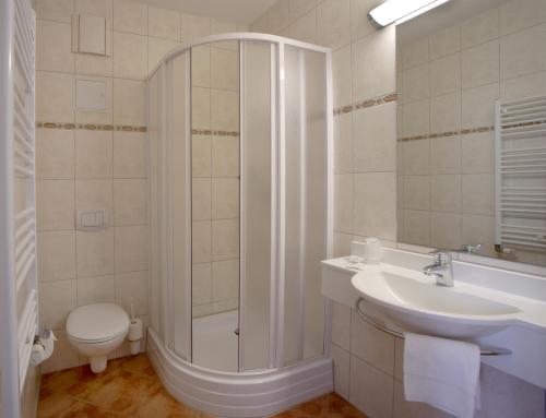 a bathroom with a shower and a sink and a toilet at Hotel Citymaxx in Rostock