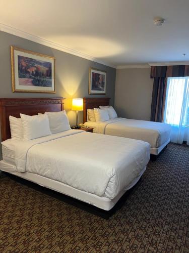 モレノバレーにあるHotel Xolaのベッド2台と窓が備わるホテルルームです。
