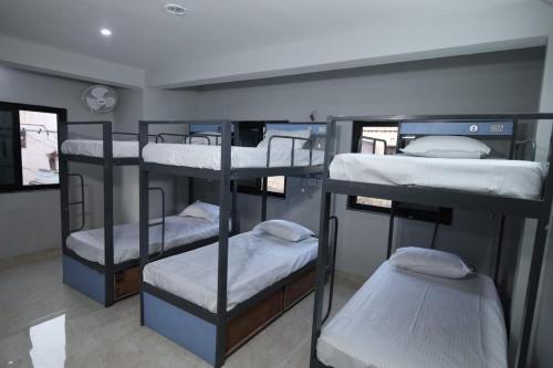 a group of four bunk beds in a room at Jaipur BackPackers in Jaipur