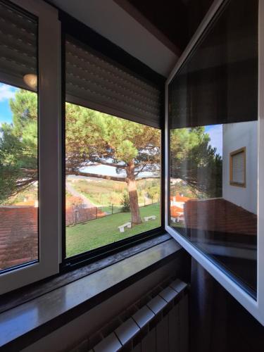 a window in a room with a view of a tree at Hotel Louro in Óbidos