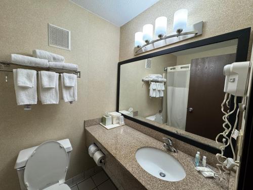 a bathroom with a sink and a toilet and a mirror at Quality Inn near I-72 and Hwy 51 in Forsyth