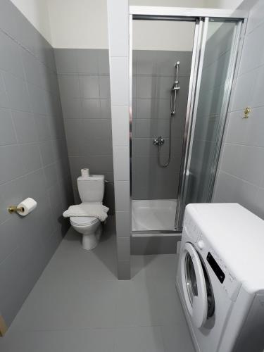 a bathroom with a shower and a toilet and a washing machine at Holiday home Prague in Prague