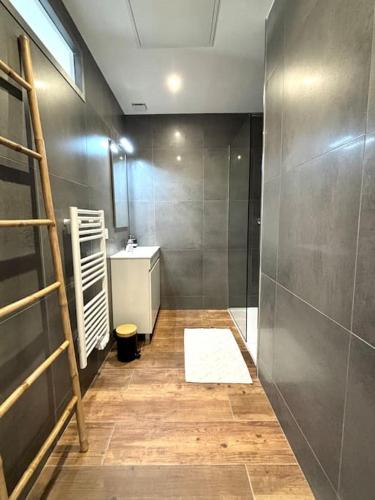 une salle de bain avec une douche, un lavabo et un miroir dans l'établissement Grange rénovée en duplex idéalement située, à Crêches-sur-Saône