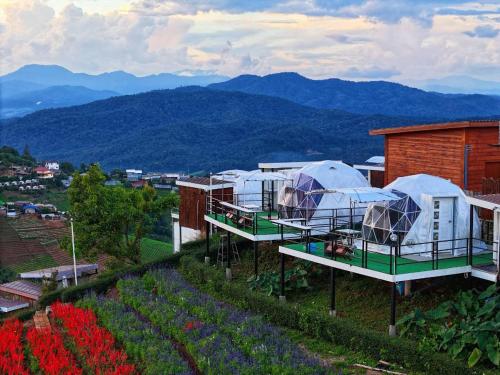 un grupo de cúpulas en un jardín con montañas en el fondo en ป๋ายดอย ม่อนแจ่ม en Mon Jam
