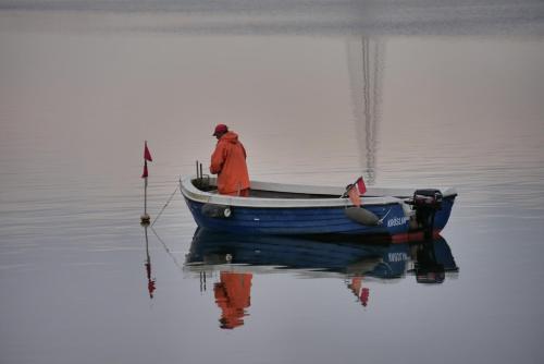 a man in a blue boat on the water at FLOATING HOUSES - "schwimmende Ferienhäuser" - Haus 2 in Kröslin
