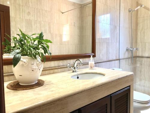 een badkamer met een wastafel en een potplant bij Ideal villa in Peralada with private pool and garden in Peralada