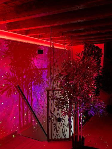 a room with two potted plants and a red light at Rouge Suite & SPA PALERMO CENTRO in Palermo