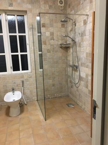 a bathroom with a shower and a toilet at Villa Rørby - Nordsoe Housing in Kalundborg