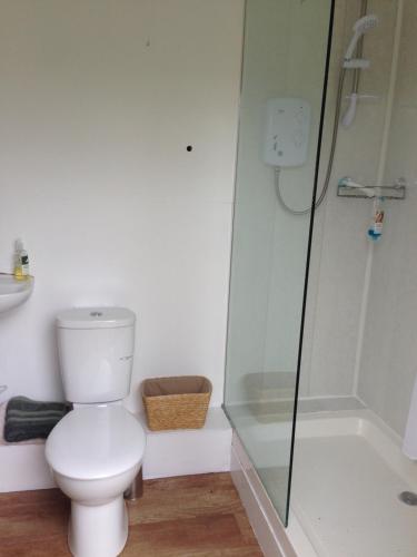a bathroom with a toilet and a glass shower at The Studio Christchurch B&B Luxury Garden Room in Christchurch